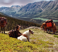 Canada-Yukon-Yukon Wilderness Horseback Expedition